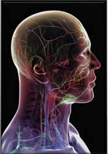 Informations patients responsables pathologies bucco dentaires